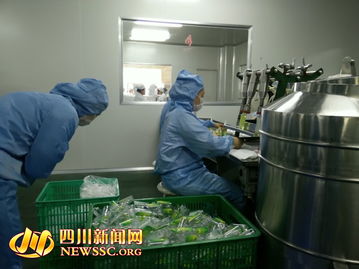 蓉城探秘 化妝品開放日引領市民走進本土制造之美